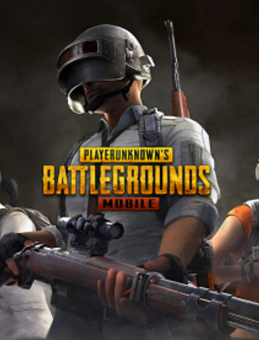 PUBG 300 (+25)