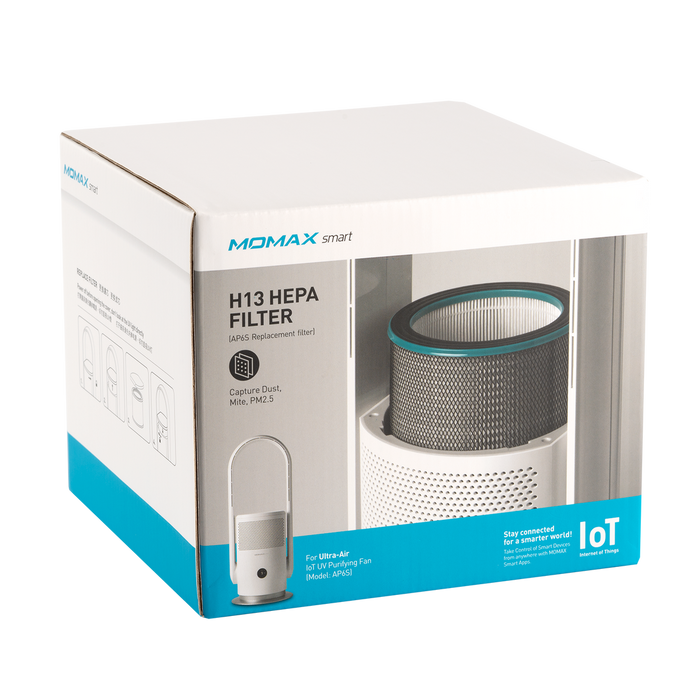 H13 HEPA FILTER (AP6S Replacement filter) AP6XLSW