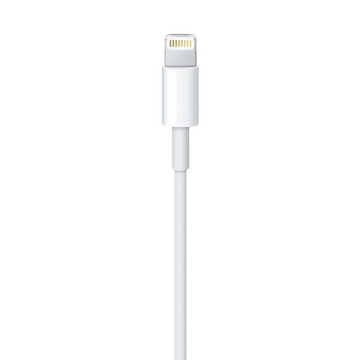Lightning to USB Cable (2m)