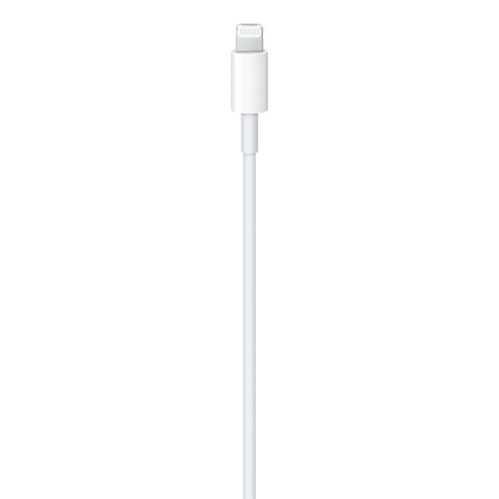USB-C to Lightning Cable (1m)
