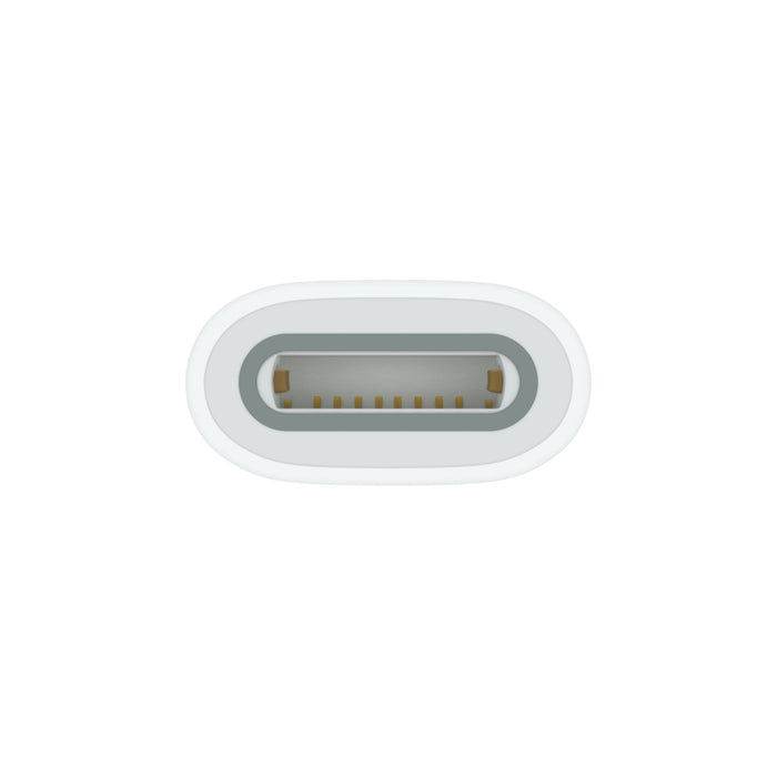 USB-C to Apple Pencil Adapter