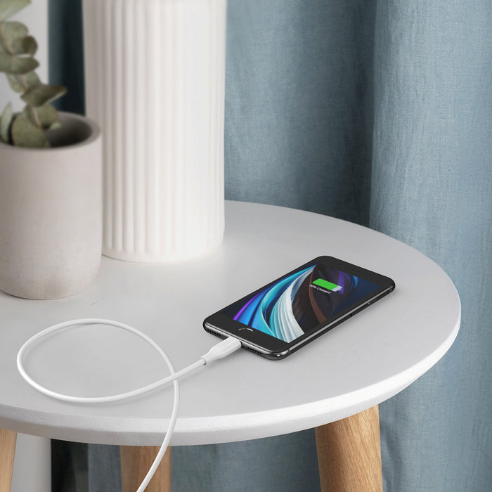 IP0040 USB-C to Lightning Cable