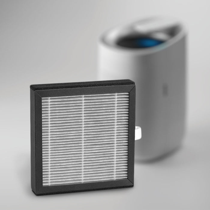 H13 HEPA with Active Carbon Replacement Filters For AP1S (AP1LX)