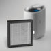 H13 HEPA with Active Carbon Replacement Filters For AP1S (AP1LX)